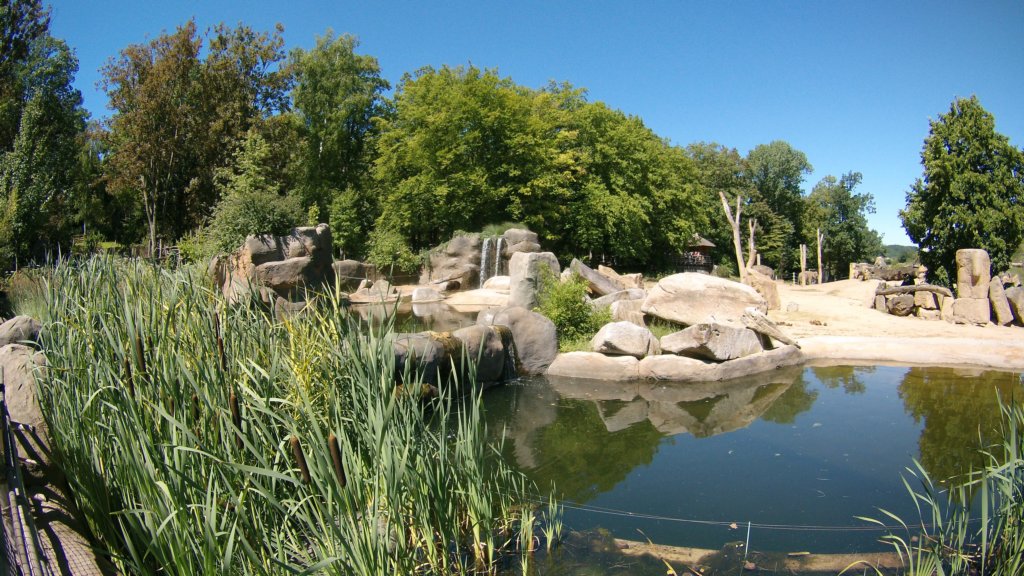 photo31.jpg