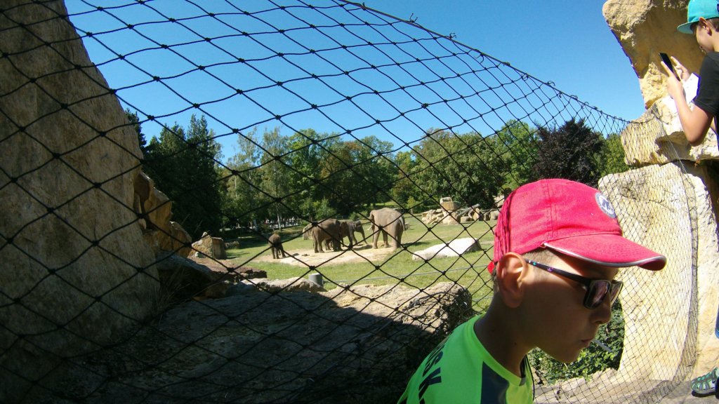 photo4.jpg