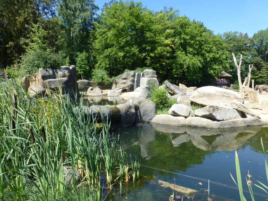 photo45.jpg