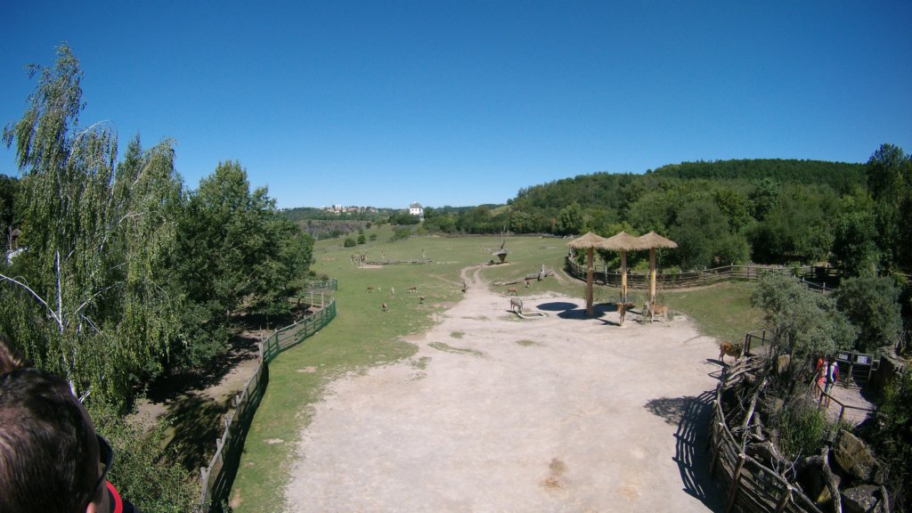 photo5.jpg
