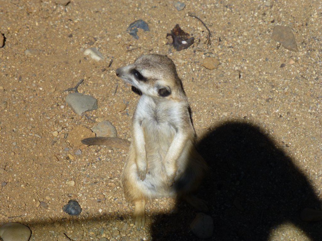 photo64.jpg