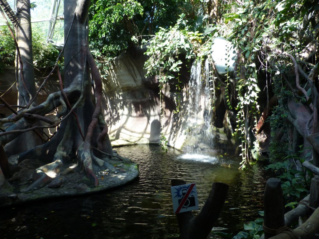 photo7.jpg