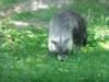 photo70_small.jpg