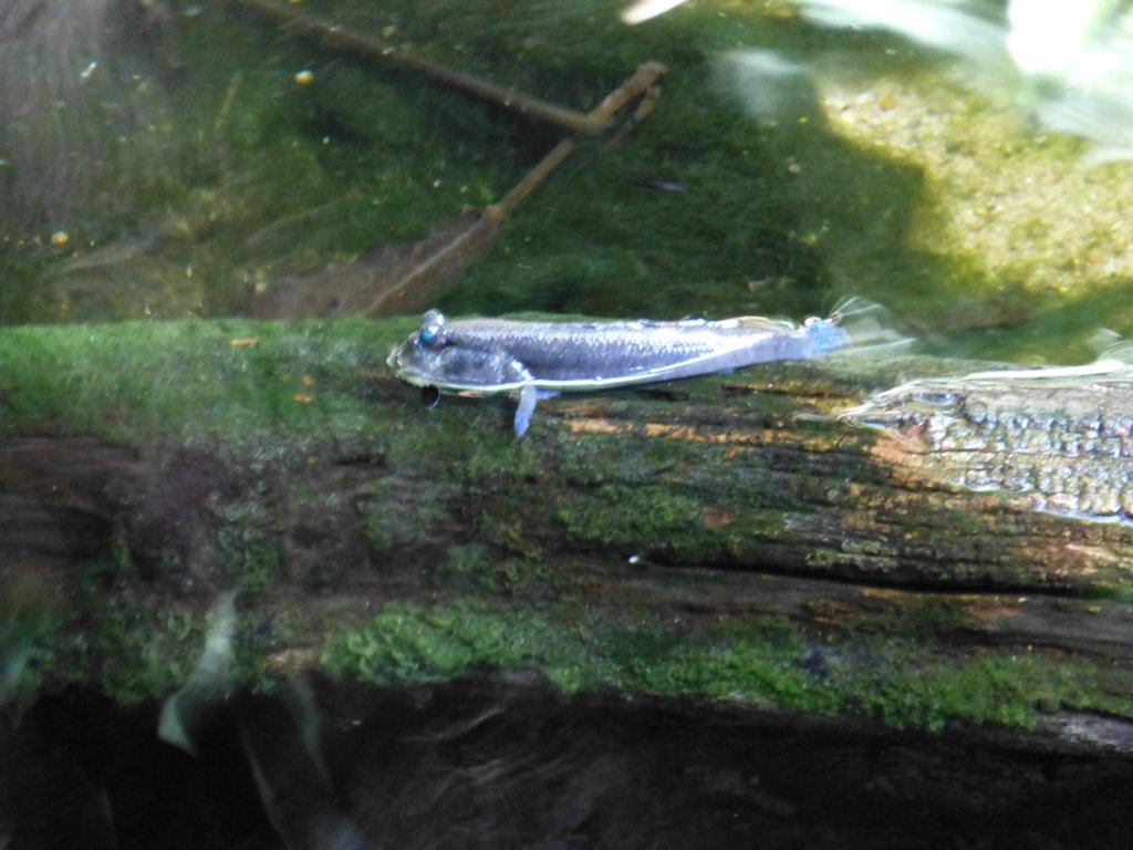 photo9.jpg