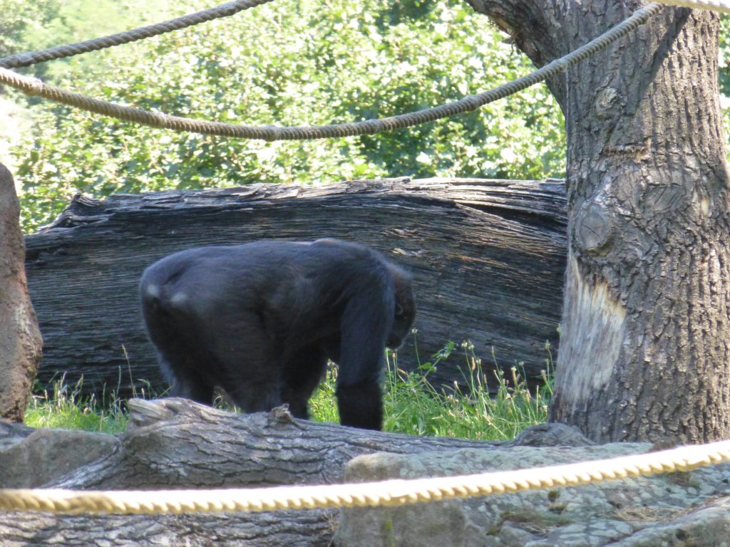 photo99.jpg