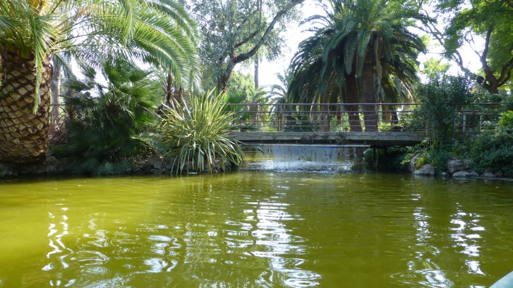 photo10.jpg