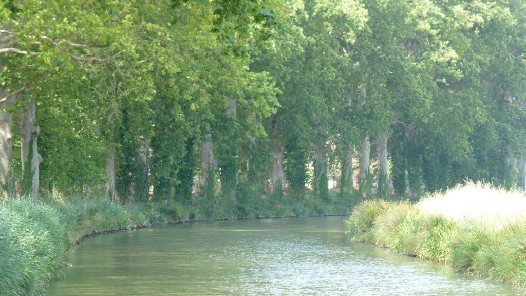 photo34.jpg