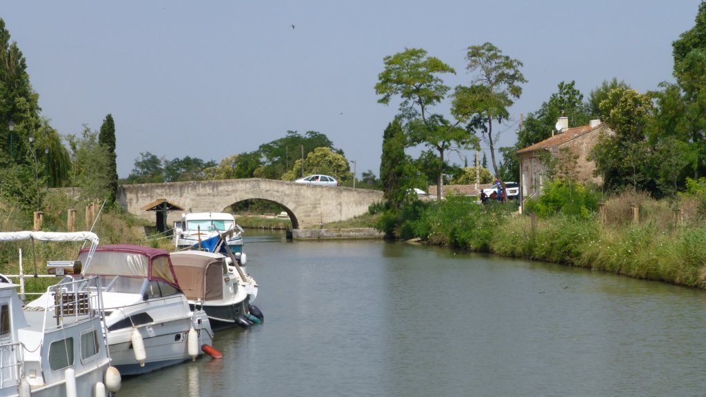 photo44.jpg