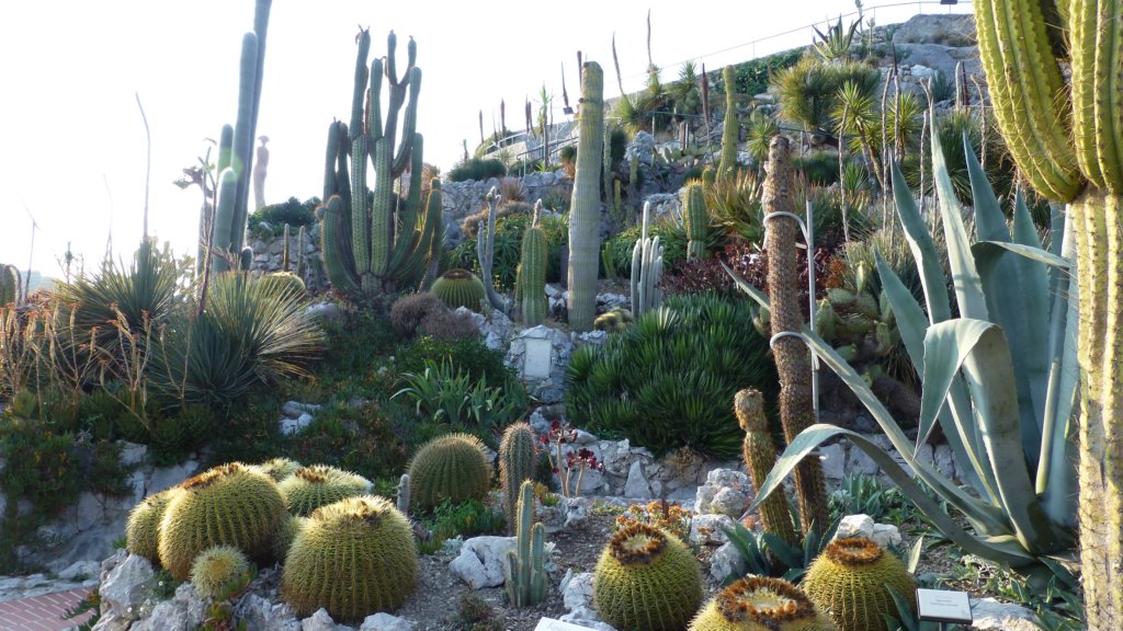 lejardinexotique2.jpg