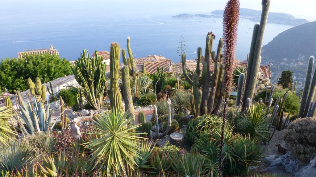 lejardinexotique4.jpg