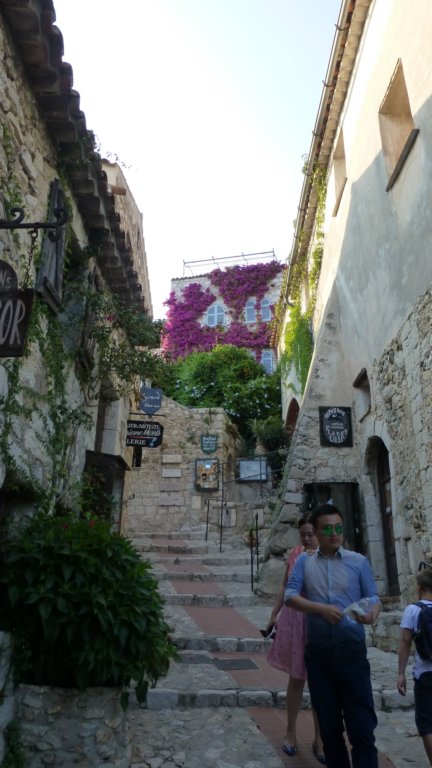 photo8.jpg
