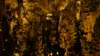 lagrottedesdemoiselles46_small.jpg
