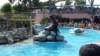 photo100_small.jpg