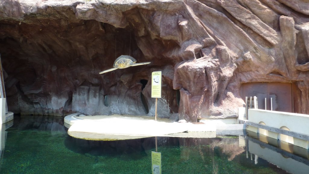 photo13.jpg