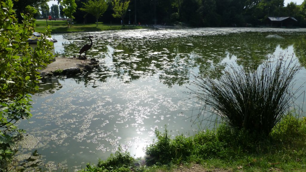 parcborely5.jpg