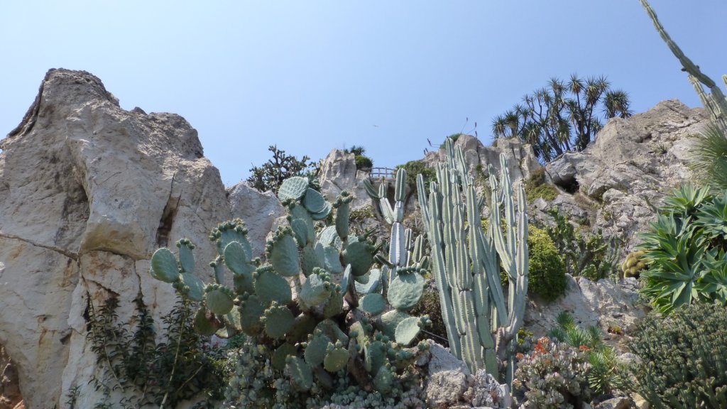 jardinexotiquedemonaco31.jpg
