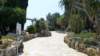 jardinexotiquedemonaco3_small.jpg