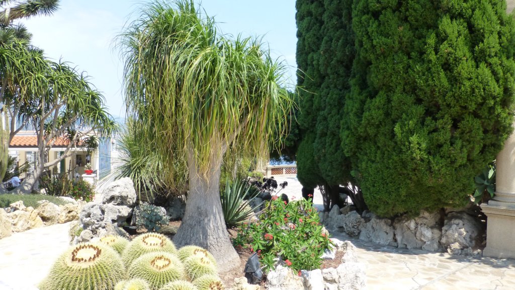 jardinexotiquedemonaco6.jpg