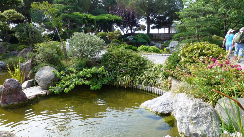photo11.jpg