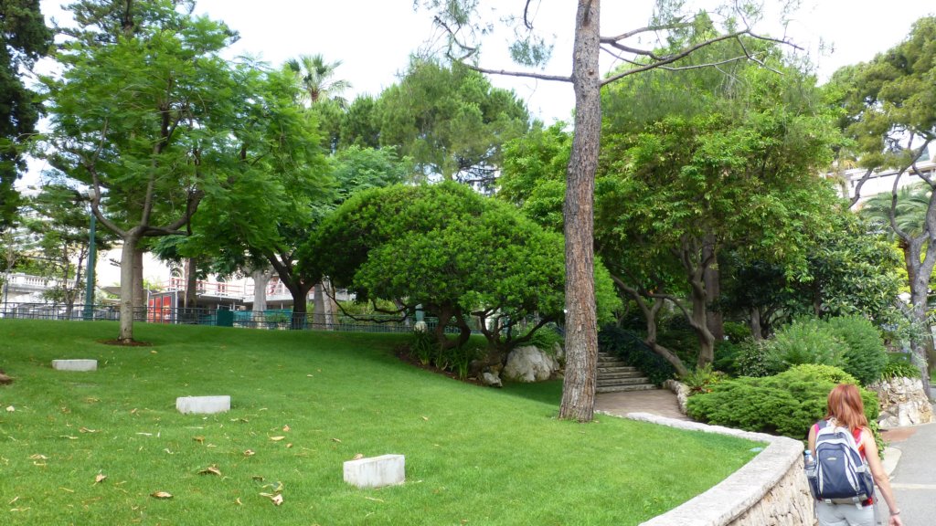 photo34.jpg