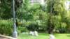 photo64_small.jpg