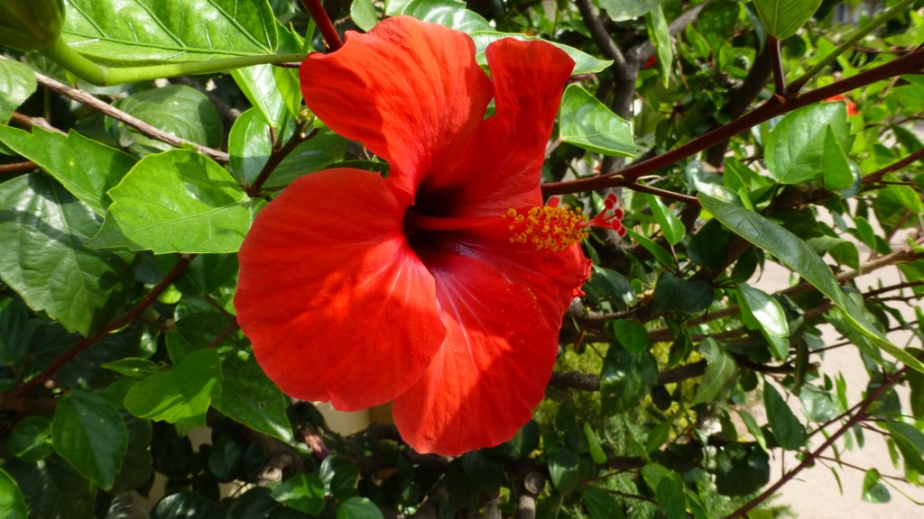 photo68.jpg