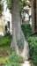 photo69_small.jpg