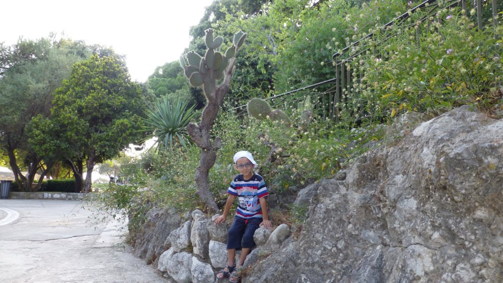 parcdumontboron15.jpg