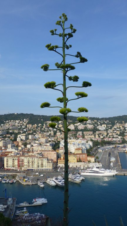 parcdumontboron17.jpg