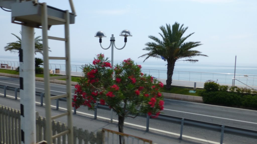 photo23.jpg