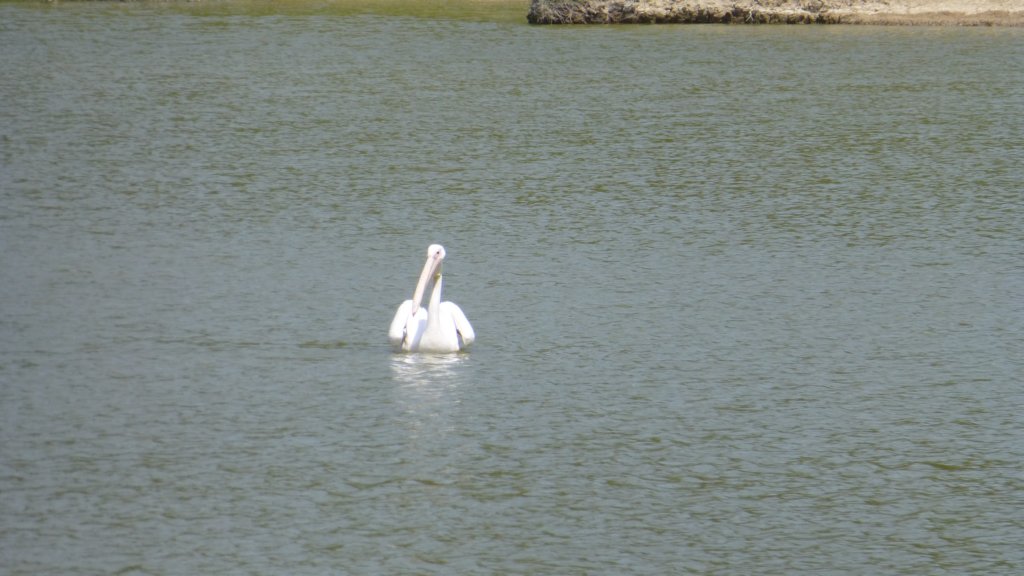 photo121.jpg