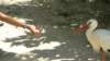photo130_small.jpg