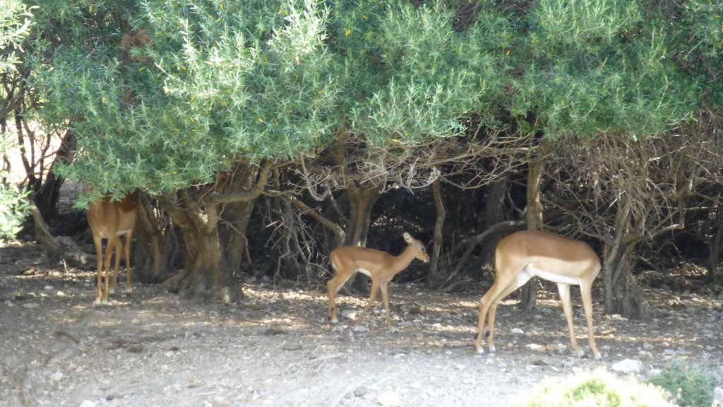 photo2.jpg