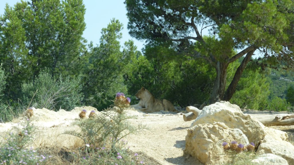 photo44.jpg