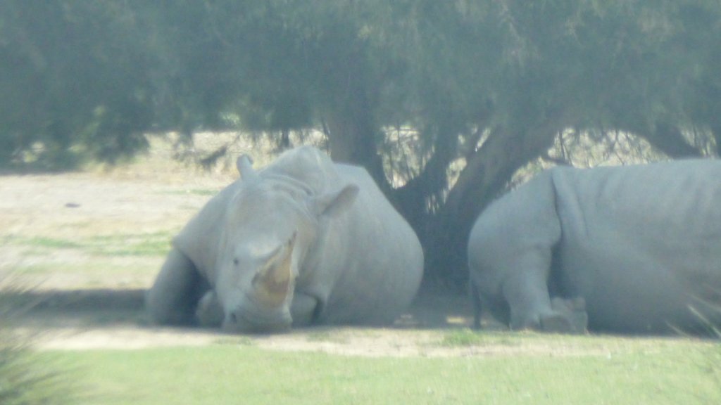 photo48.jpg
