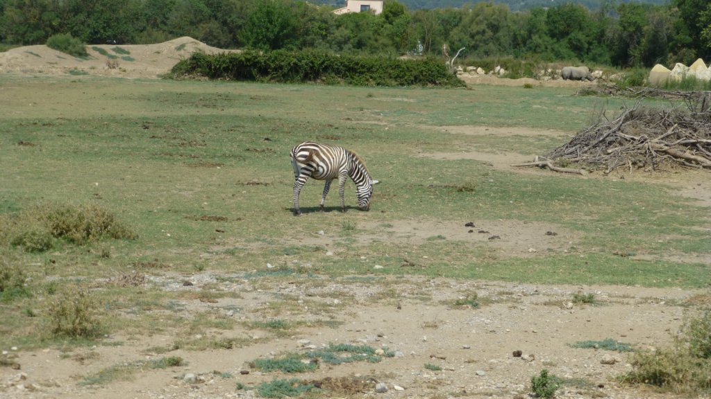 photo52.jpg