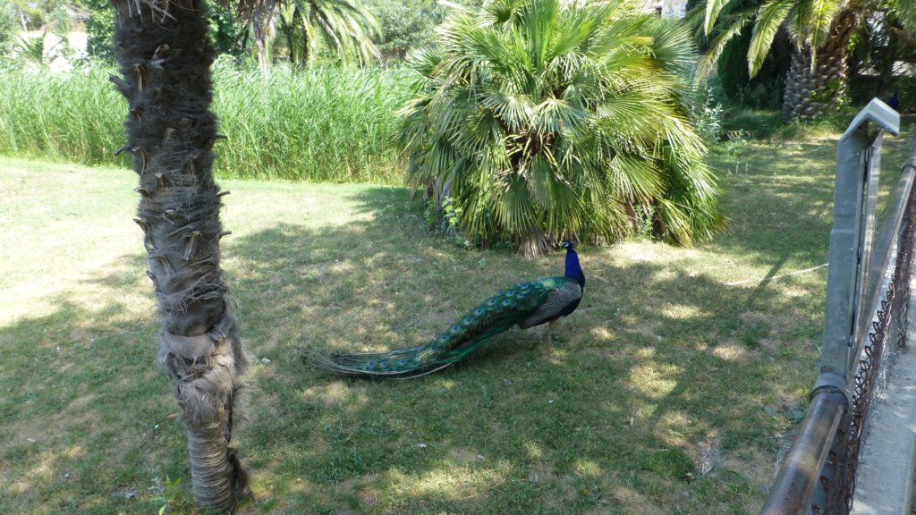 photo63.jpg