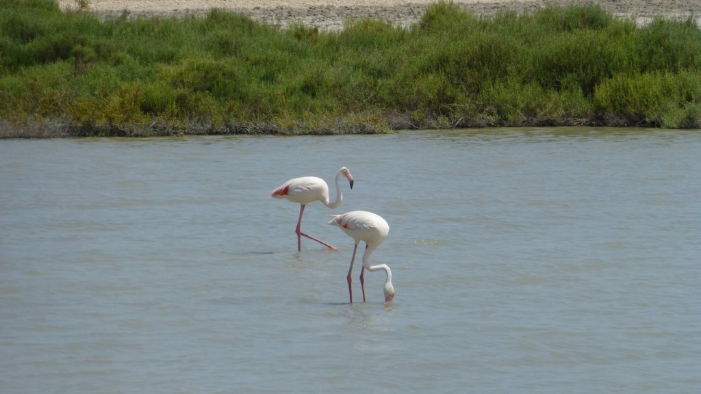 photo31.jpg