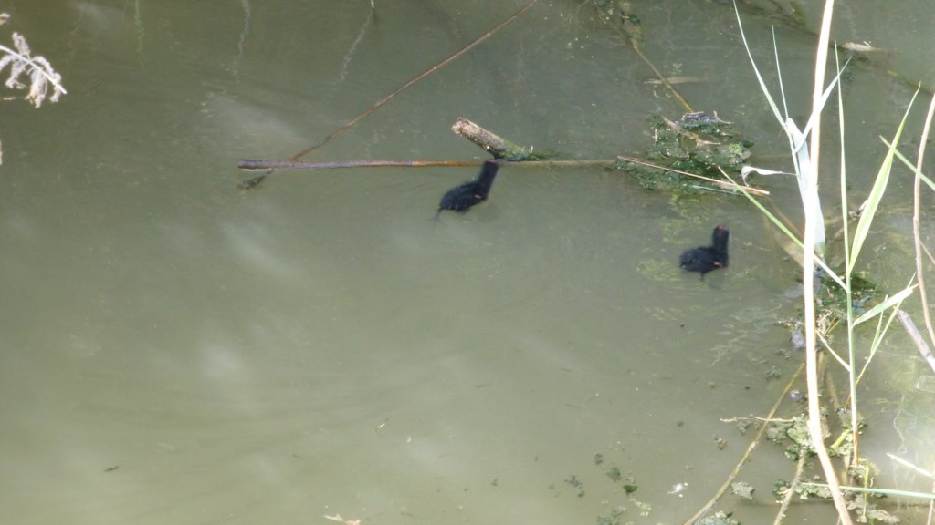 photo55.jpg