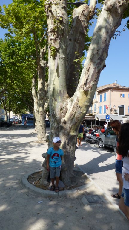 photo19.jpg