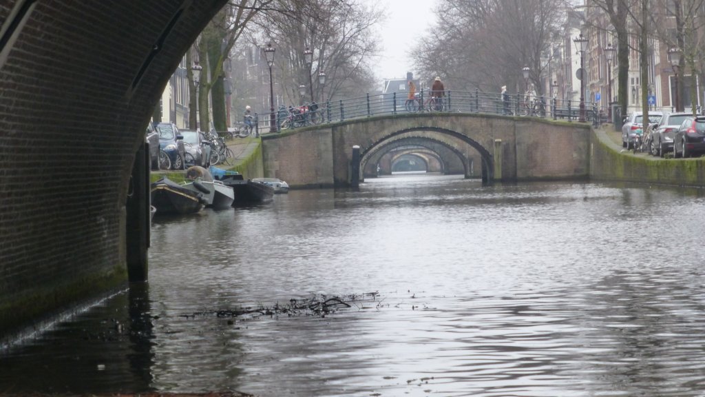 photo34.jpg