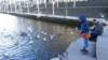 photo26_small.jpg
