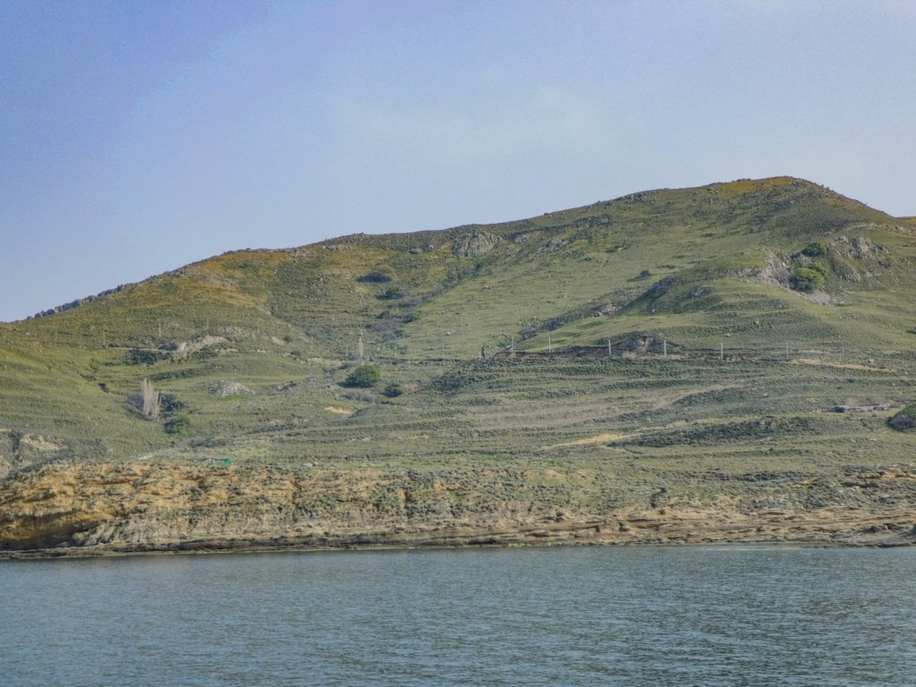 photo51.jpg