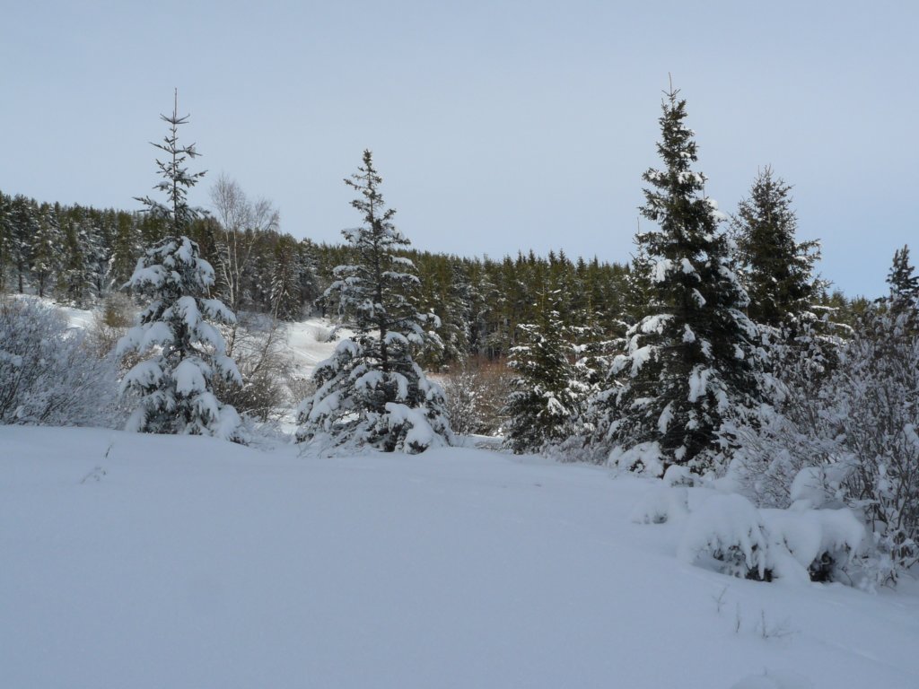 p1130344.jpg