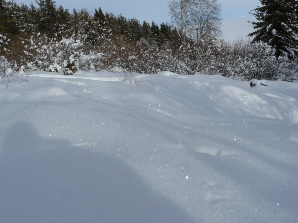 p1130349.jpg