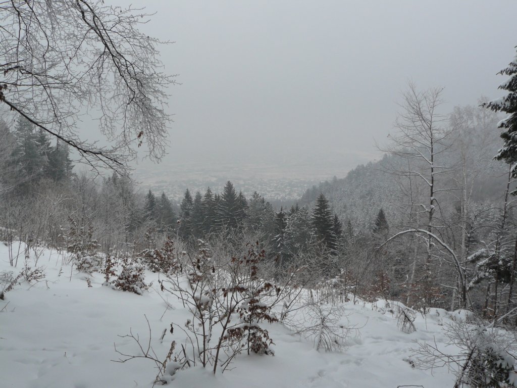 p1130364.jpg