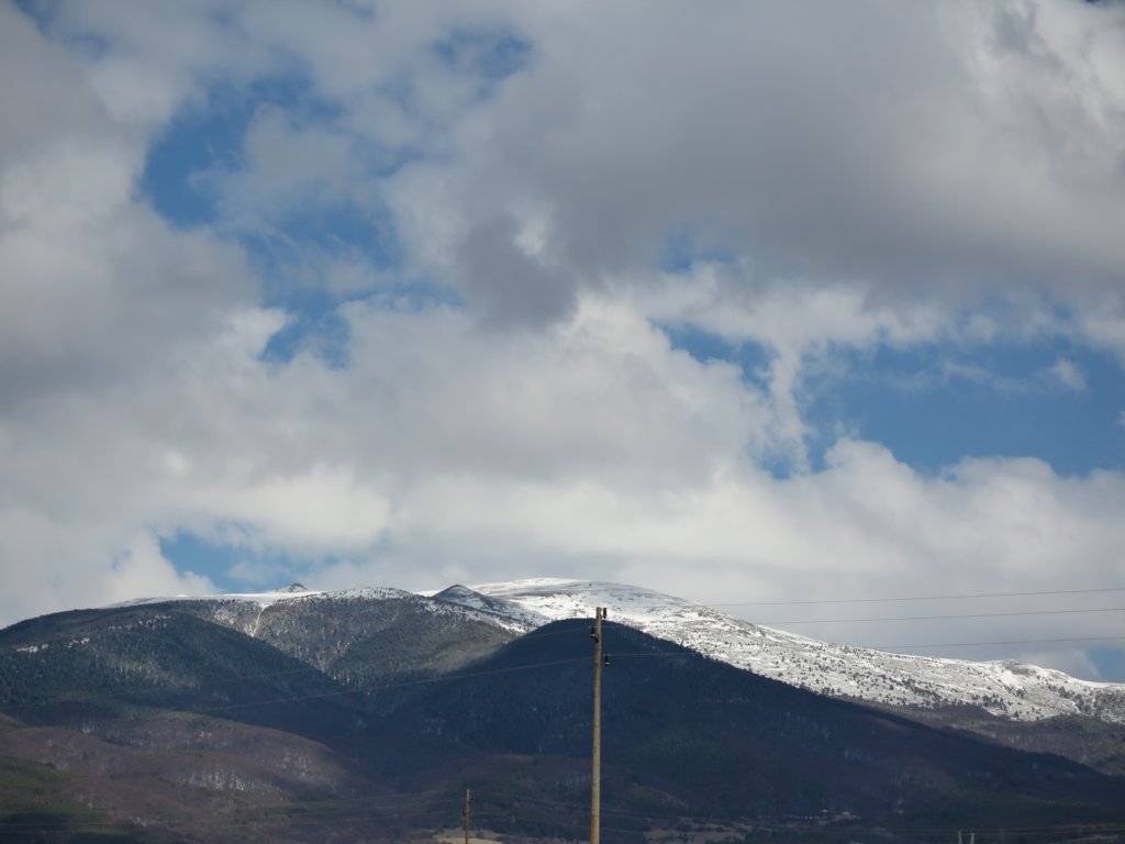 photo3.jpg