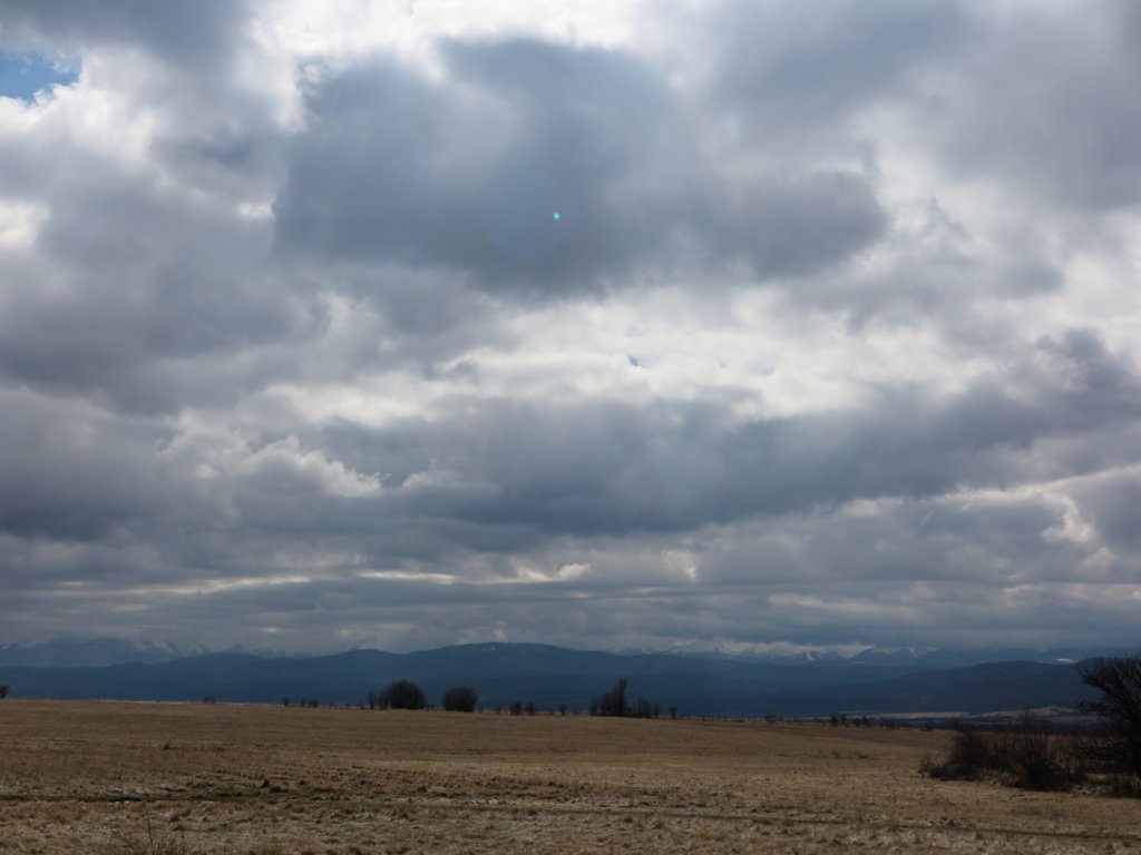 photo7.jpg