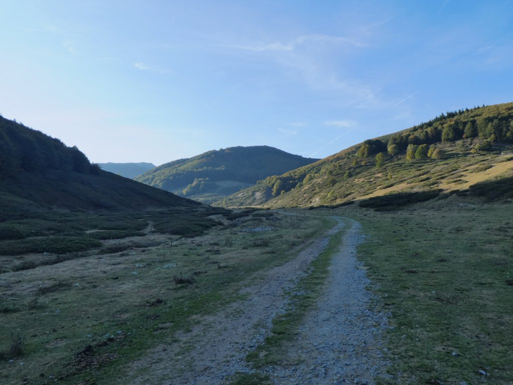 photo86.jpg
