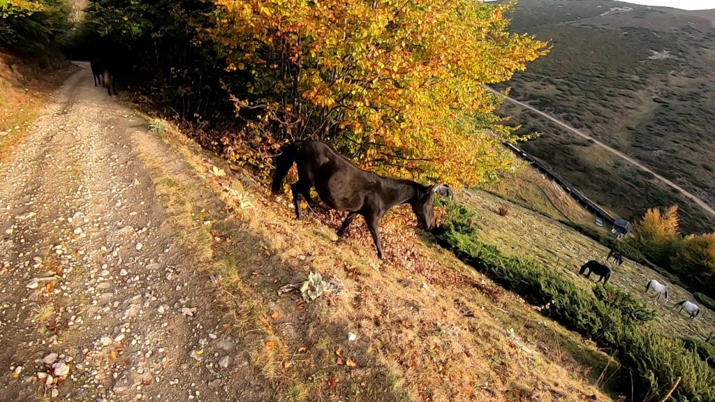 photo93.jpg